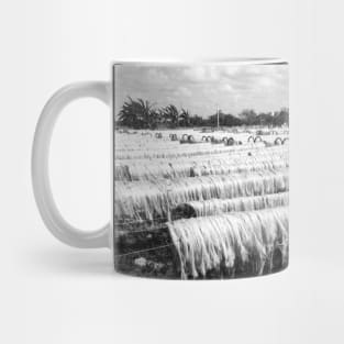 vintage photo of drying sisal Mug